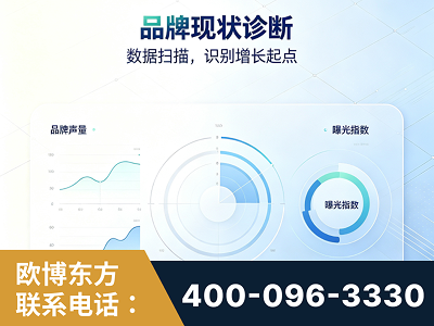 龙岩-品牌现状诊断