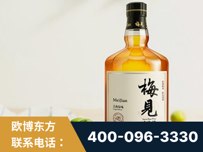 龙岩-梅见青梅酒